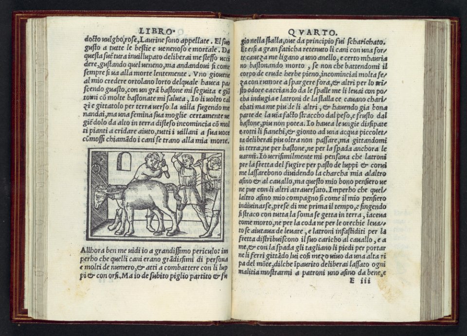 Apulegio volgare, diuiso in undeci libri, novamente stampato & in molti lochi aggiontoui che nella prima impressione gli manchaua, & de molte più figure adornato MET DP108973