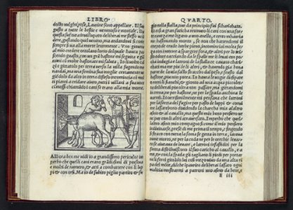 Apulegio volgare, diuiso in undeci libri, novamente stampato & in molti lochi aggiontoui che nella prima impressione gli manchaua, & de molte più figure adornato MET DP108973