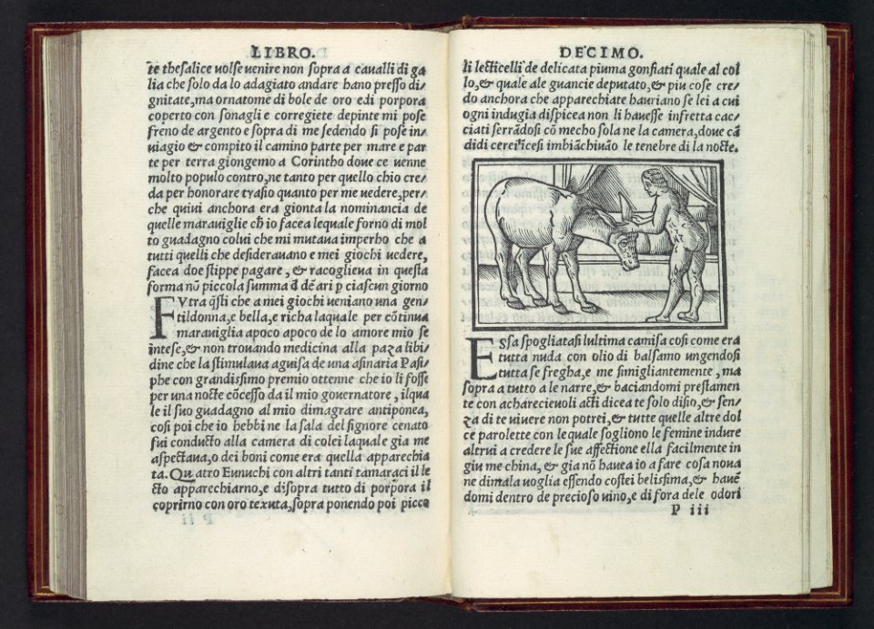 Apulegio volgare, diuiso in undeci libri, novamente stampato & in molti lochi aggiontoui che nella prima impressione gli manchaua, & de molte più figure adornato MET DP108977