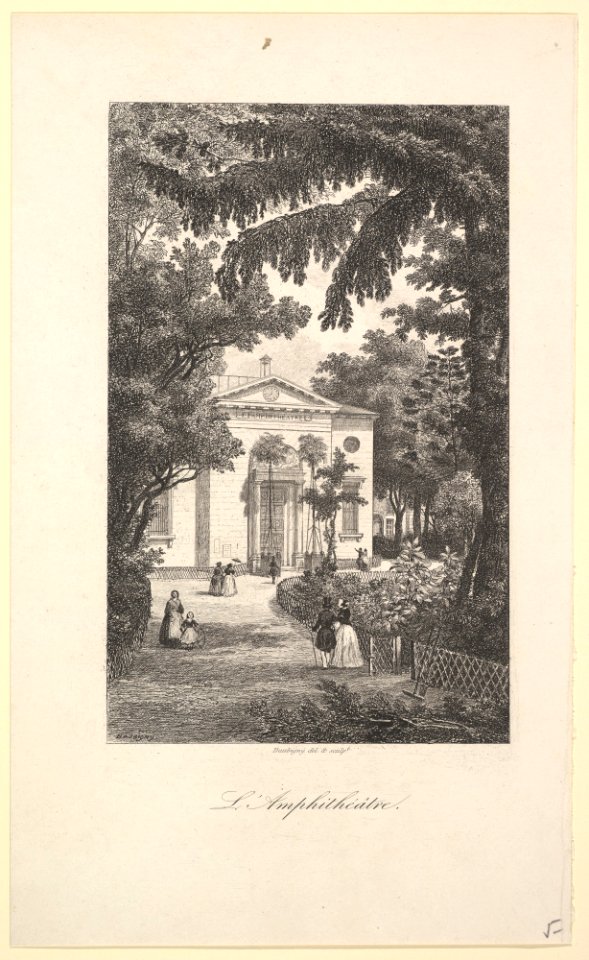 Amphitheater of the Botanical Gardens, Paris MET DP822221
