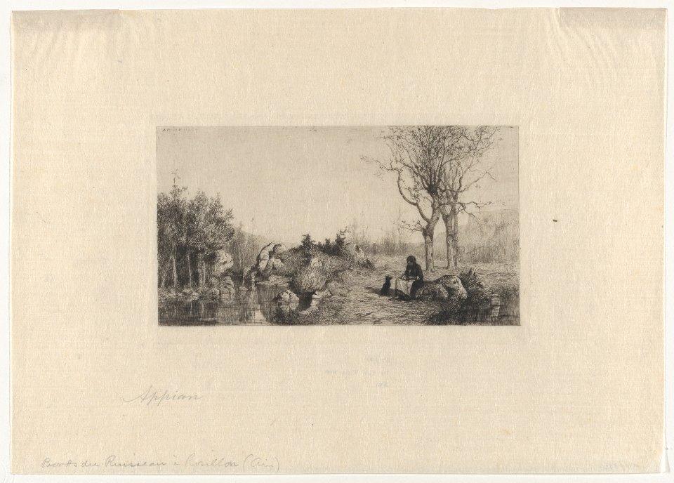 At the Bank of the Stream in Rossillon (Ain) MET DP874058
