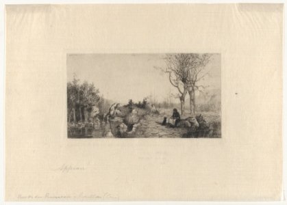 At the Bank of the Stream in Rossillon (Ain) MET DP874058
