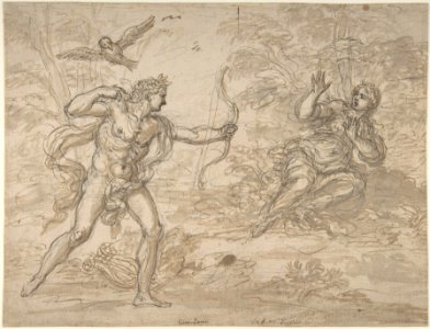 Apollo and Coronis. MET DP809552