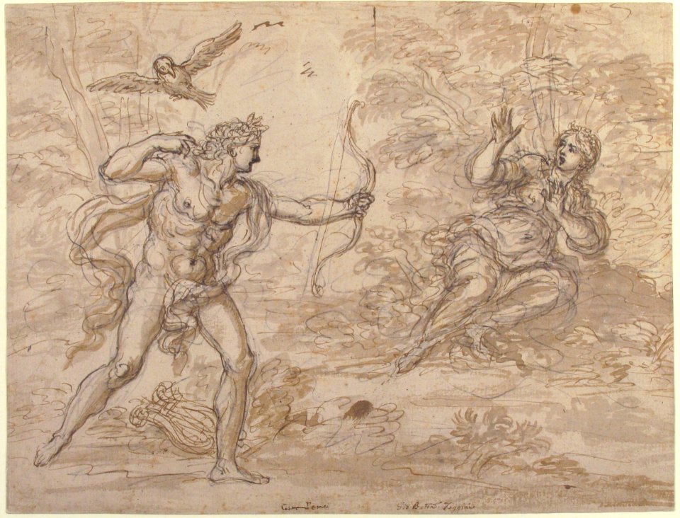 Apollo and Coronis. MET 61.174