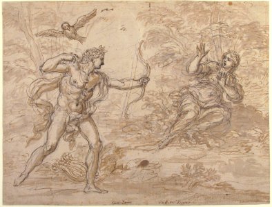 Apollo and Coronis. MET 61.174