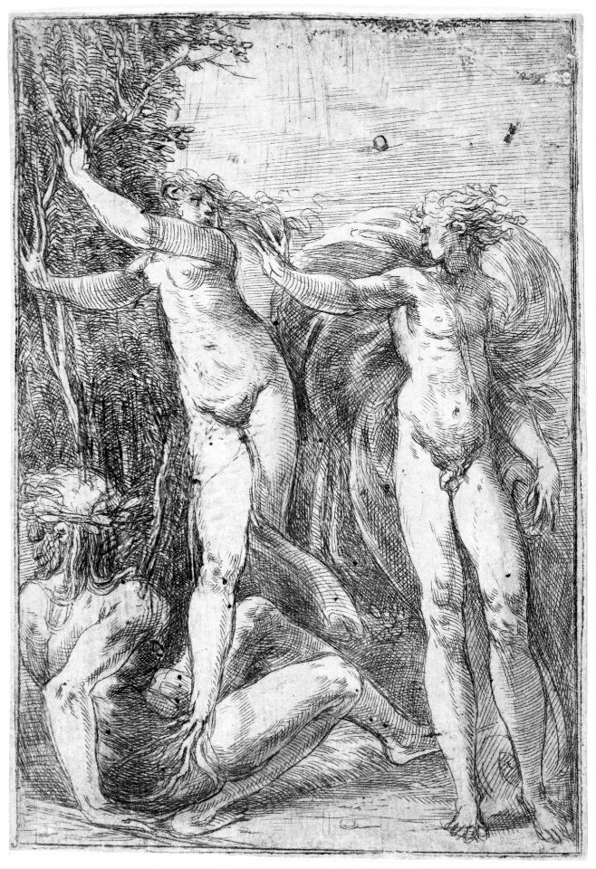 Apollo and Daphne MET MM54405
