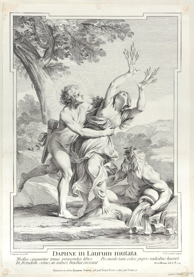 Apollo and Daphne Met DP885692