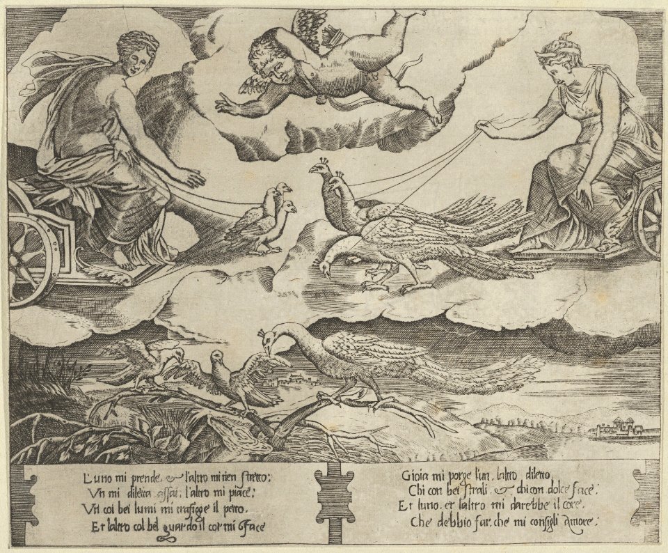 Allegory of Marriage and Love; Juno in a chariot drawn by peacocks at right,Venus in a chariot drawn by three doves at the left MET DP837624