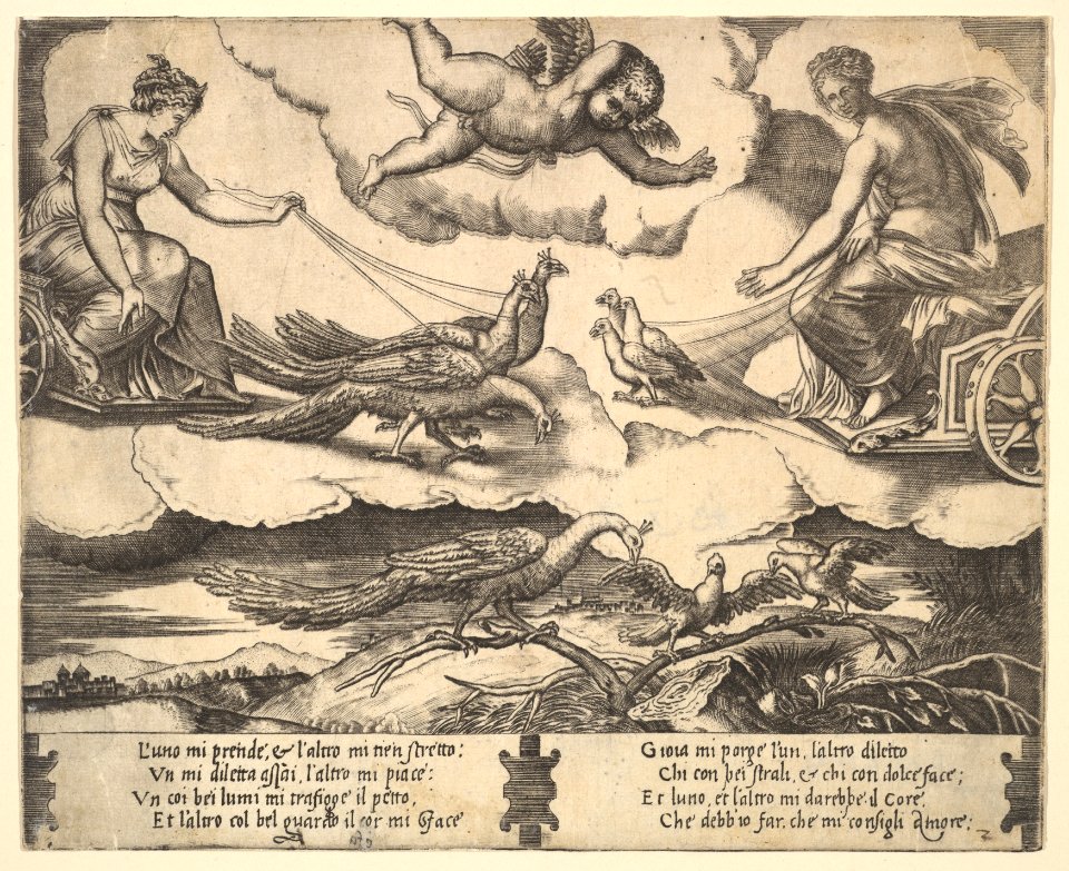 Allegory of Marriage and Love; Juno in a chariot drawn by peacocks at left, Venus in a chariot drawn by three doves at the right MET DP824406