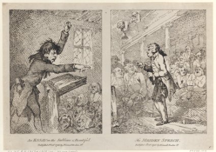 An Essay on the Sublime & Beautiful; The Maiden Speech Met DP884332