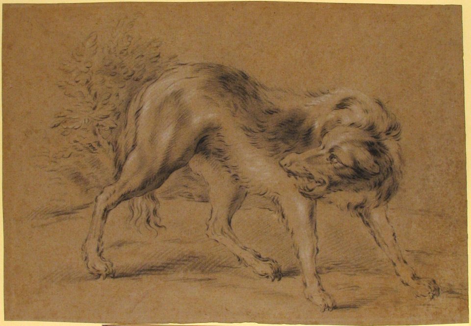 Angry Dog MET 1975.131.122