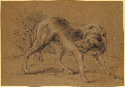 Angry Dog MET 1975.131.122
