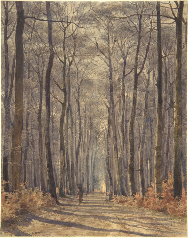 An Allée in the Woods MET DP804875