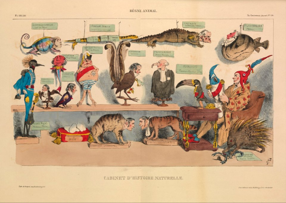 Animal Kingdom- Natural History Cabinet (Règne animal- Cabinet d'histoire naturelle), from La Caricature, plates 265 and 266 MET DP243030
