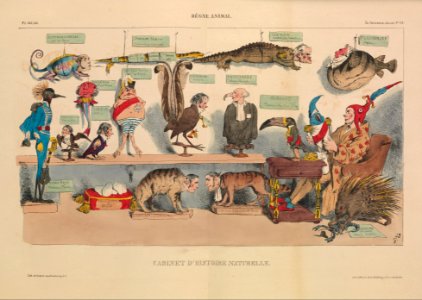 Animal Kingdom- Natural History Cabinet (Règne animal- Cabinet d'histoire naturelle), from La Caricature, plates 265 and 266 MET DP243030
