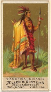 America (Indian), from the Natives in Costume series (N16) for Allen & Ginter Cigarettes Brands MET DP834812