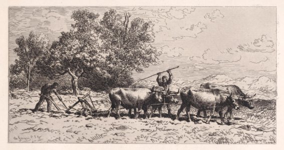 Attelage de Boeufs Met DP888838
