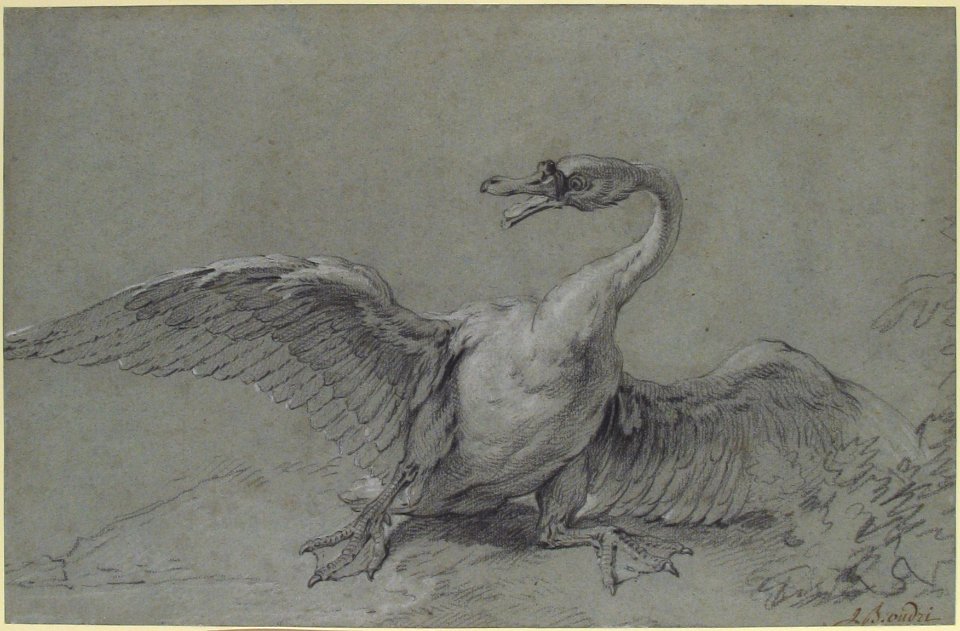 Angry Swan MET 1970.133
