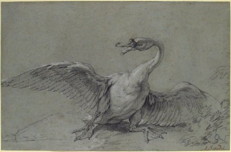 Angry Swan MET 1970.133