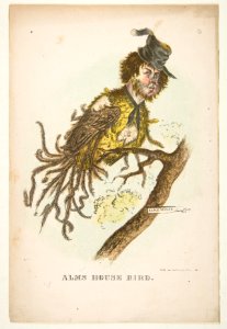 Alms House Bird, from The Comic Natural History of the Human Race MET DP813093