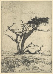 Antlers MET DP845462