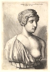 Antique bust of a woman MET DP822997