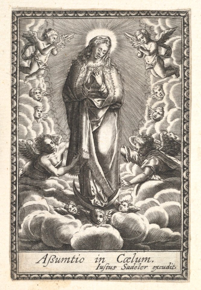 Assumption of the Virgin MET DP873545