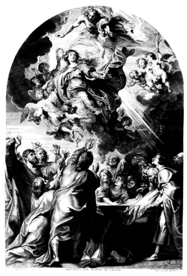 Assumption of the Virgin MET 271557