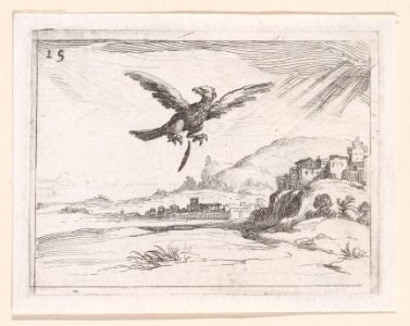 An Eagle Dropping an Old Feather Met DP890721