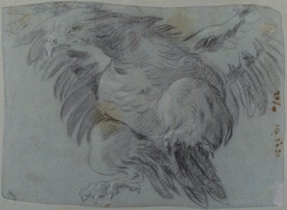 An Eagle with Wings Spread MET 37.165.109