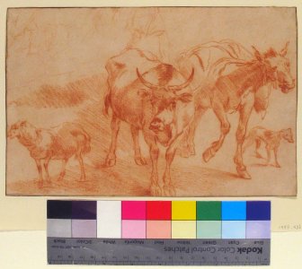 Animal Studies MET 1997.433