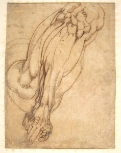 Anatomical Studies of a Leg (recto); Study of a Leg (verso) MET DP810668