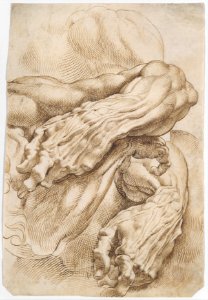Anatomical Studies- a left forearm in two positions and a right forearm MET DT3993