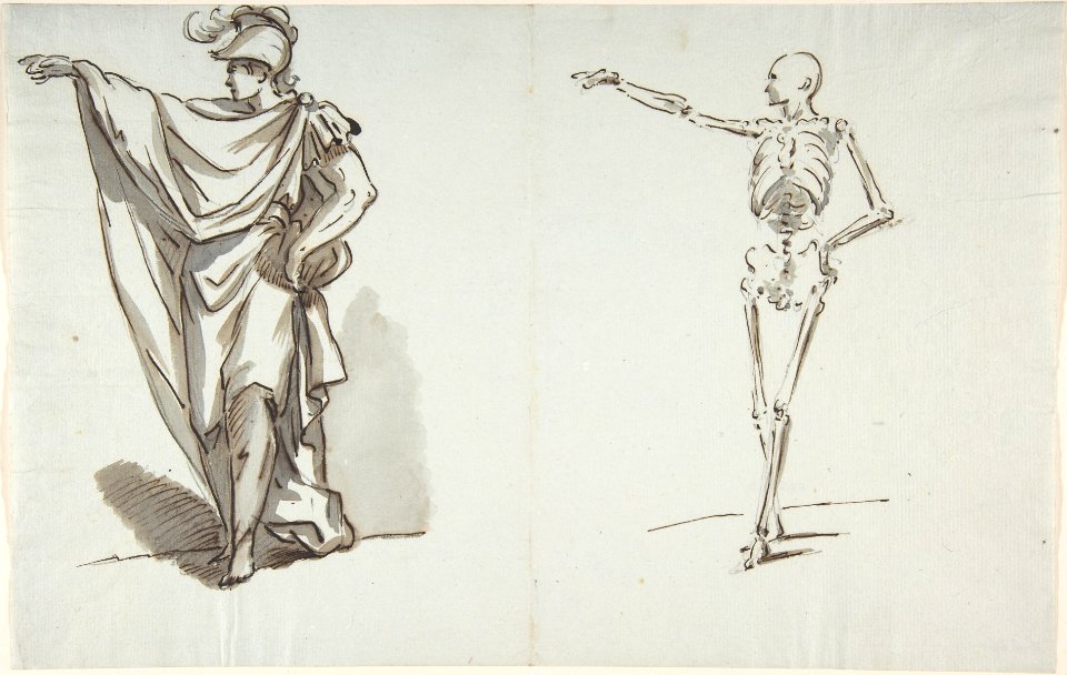 Anatomical drawing MET DP808753