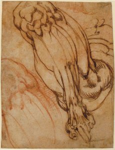 Anatomical Studies of a Leg (recto); Study of a Leg (verso) MET 21.15.1 RECTO