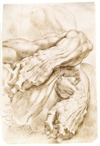 Anatomical Studies- a left forearm in two positions and a right forearm MET DR229