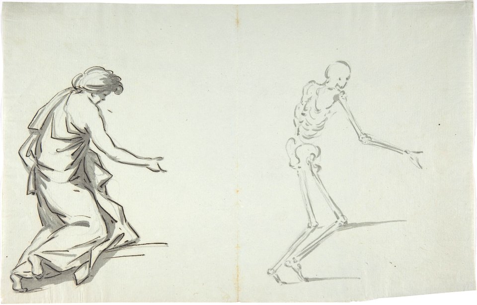 Anatomical drawing MET DP808739