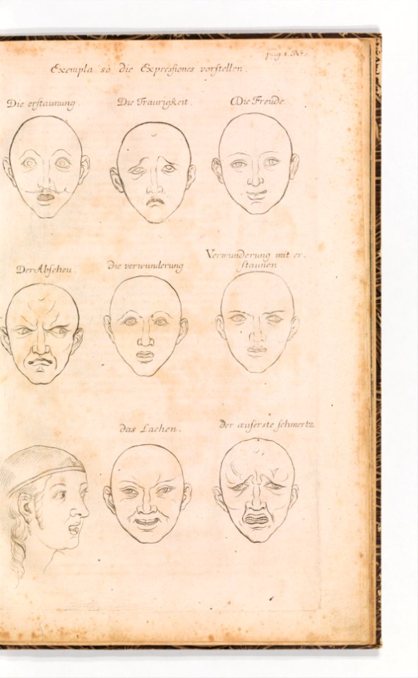 Anmerckungen Der Fürtrefflichsten Mahler unserer zeit über die Zeichen-und Mahlerey-Kunst zusammen getragen, Und in Sechs Tablellen, von der Delineation, Proportion, Expression, Leicht und Schatten Ordonanz... MET DP355584