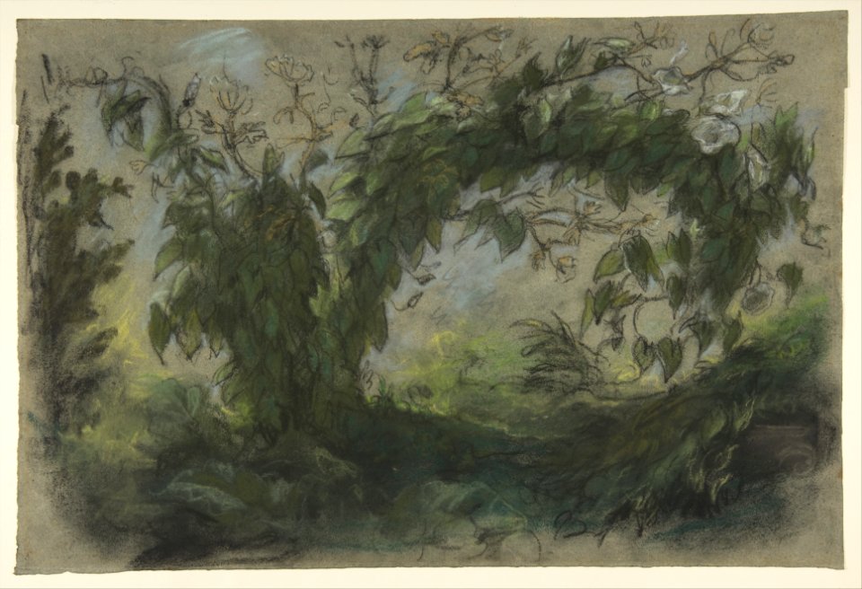Arch of Morning Glories, study for " A Basket of Flowers" MET DP813400
