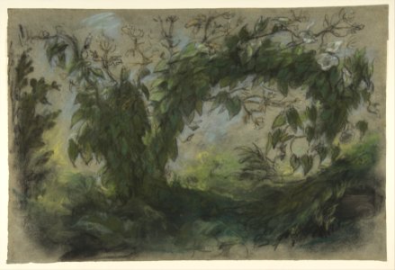 Arch of Morning Glories, study for " A Basket of Flowers" MET DP813400