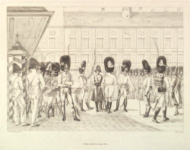 Austrian Grenadiers MET DP824381