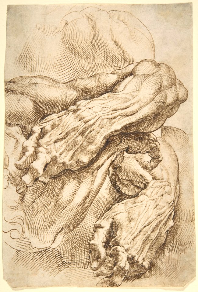 Anatomical Studies: a left forearm in two positions and a right forearm, Peter Paul Rubens