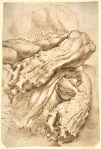 Anatomical Studies- a left forearm in two positions and a right forearm MET DP802241