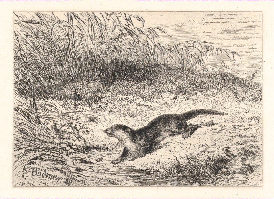 An Otter MET DP874280