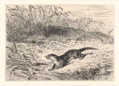 An Otter MET DP874280