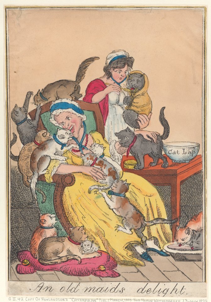 An Old Maid's Delight Met DP884724