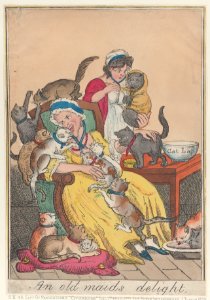 An Old Maid's Delight Met DP884724