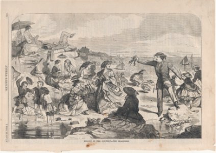 August in the Country – The Sea-Shore (Harper's Weekly, Vol. III) MET DP875158