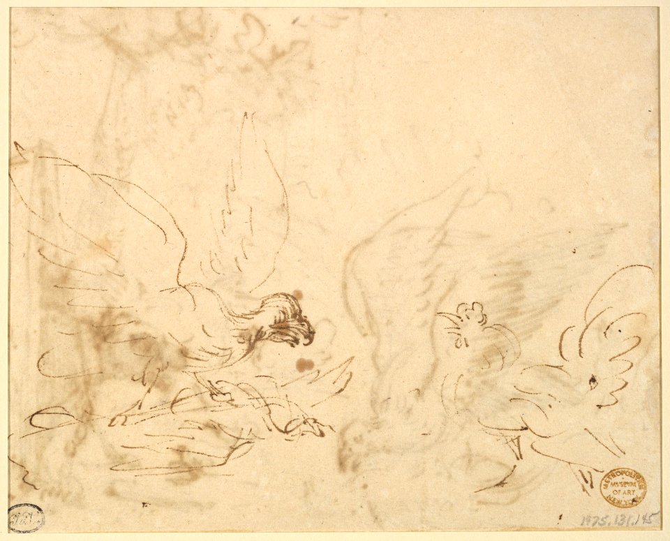 Barnyard Scene- two birds fighting (recto)Studies of Birds(verso) MET DP823292