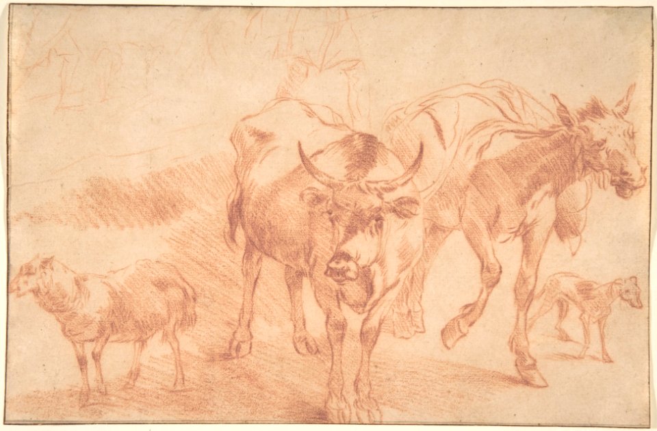 Animal Studies MET DP800102